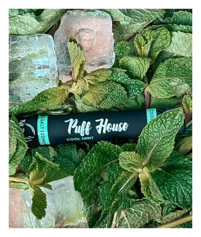 Jednorazová e-cigareta Puff House, Cool Mint